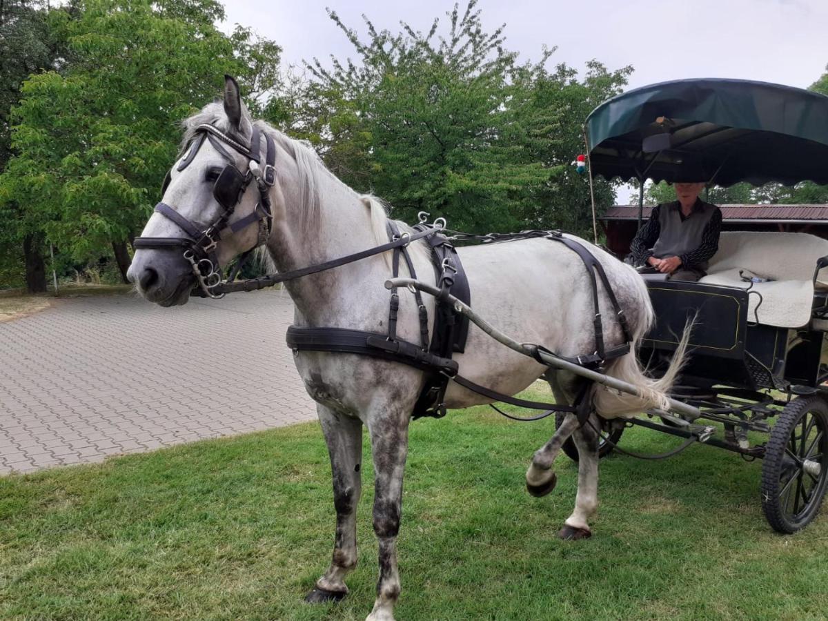 Vadaspuszta Vendeghaz Csatka Buitenkant foto
