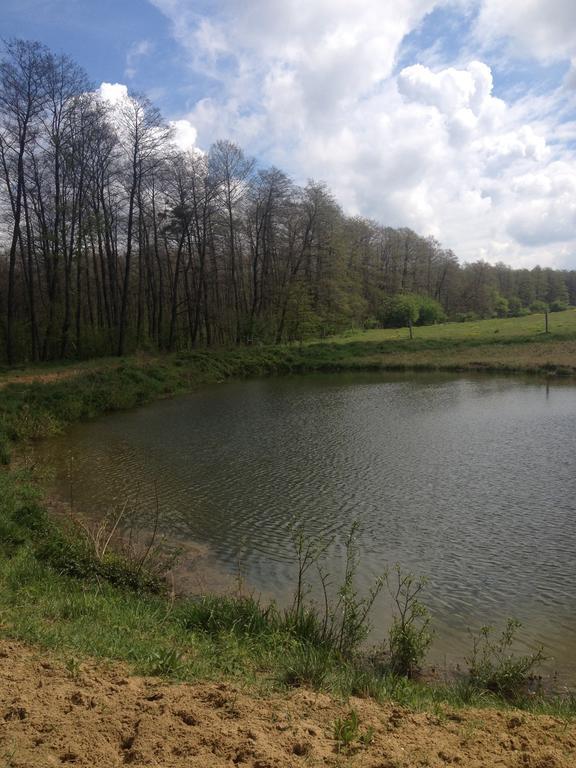 Vadaspuszta Vendeghaz Csatka Buitenkant foto