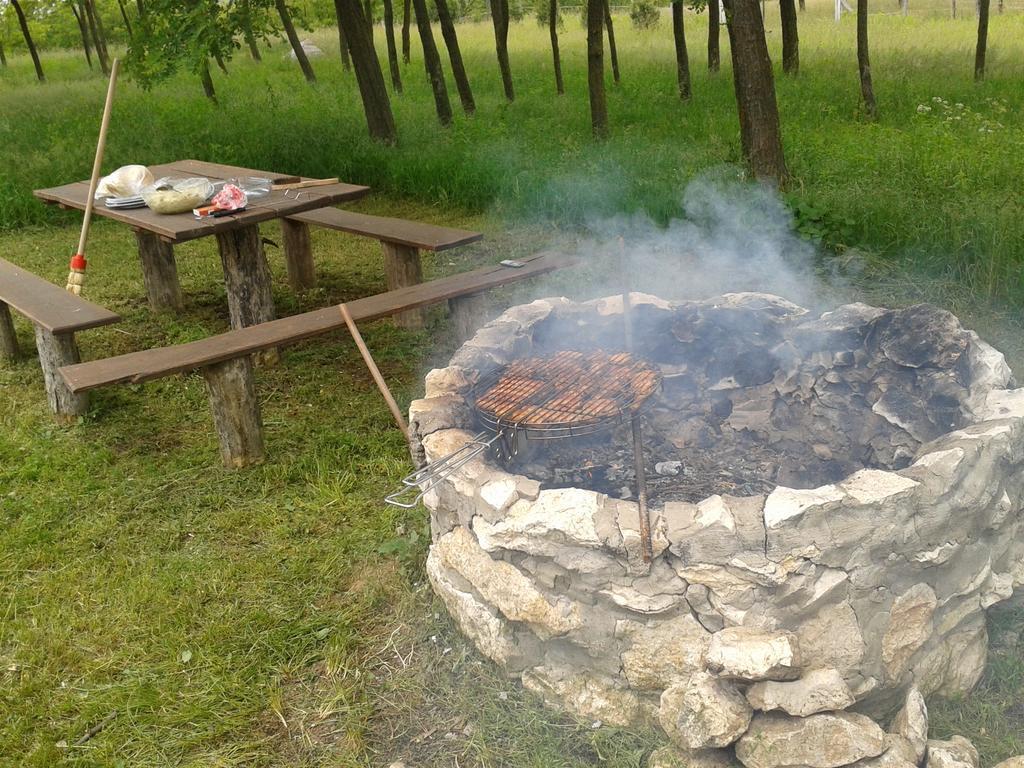 Vadaspuszta Vendeghaz Csatka Buitenkant foto
